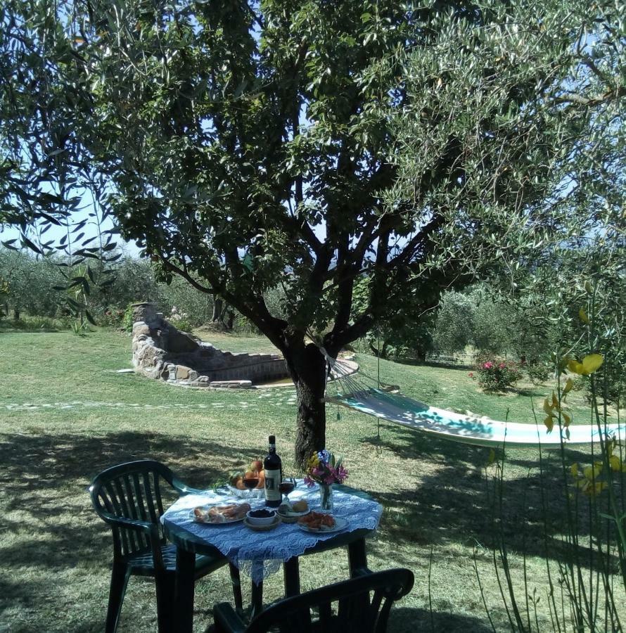 Nido Di Rondine Apartman Montespertoli Kültér fotó